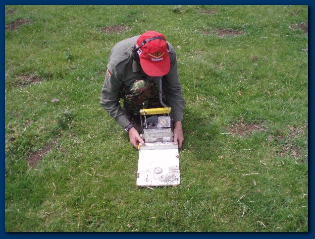 600x449 pixels (182K)